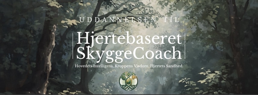 Skygge Julekalenderen - 10